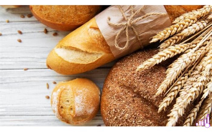 صادرات نان